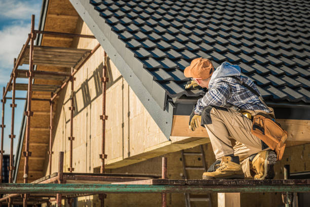 Best Roof Moss and Algae Removal  in Lake Monticello, VA