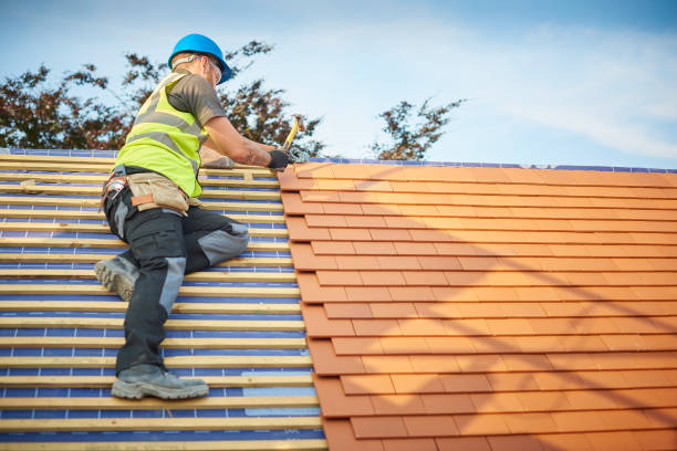 Best Metal Roofing Installation  in Lake Monticello, VA